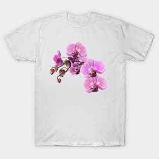 Pink and White Orchids T-Shirt